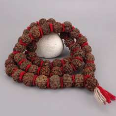 Japa Mala de Rudraksha 5 Mukhis, 54 cuentas 18 mm