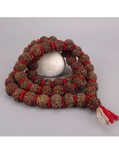 Japa Mala de Rudraksha 5 Mukhis, 54 cuentas 18 mm